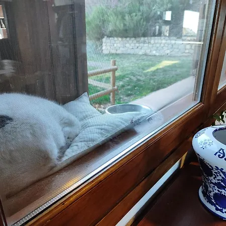 Venkovský dům Refugio Del Aguila 