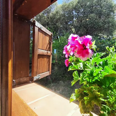 Refugio Del Aguila 